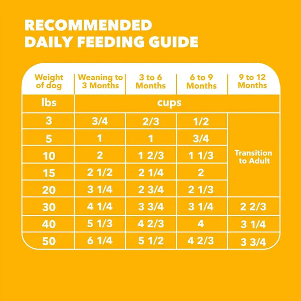 IAMS Proactive Health Puppy Dry Dog Food, Chicken & Whole Grain, 15 Lb | Real Chicken #1 Ingredient, Vet-Recommended, Omega-3 DHA for Cognitive & Vision Development, Calcium for Bones & Joints9