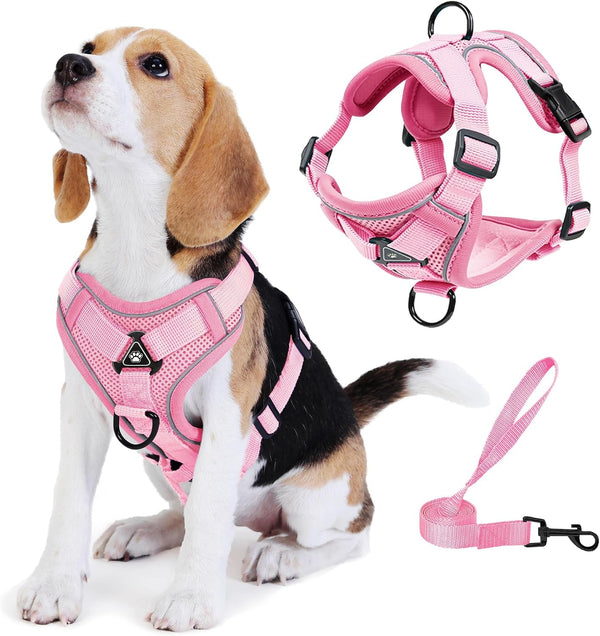 No Pull Dog Harness with Leash Set for Small Sized Dog, Reflective Adjustable No Choke Front Clip Cat Vest Harness with Breathable Mesh, Comfortable Soft Padded Pet Vest, Blue M7