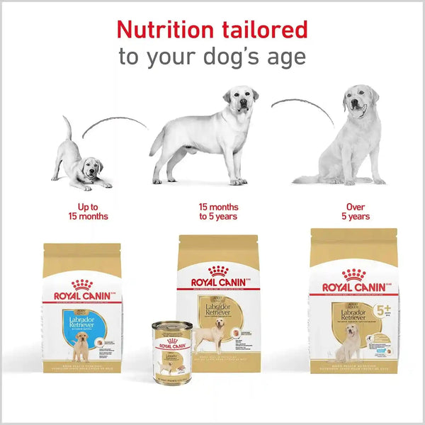 ROYAL CANIN Breed Health Nutrition Labrador Retriever Adult Dry Dog Food, 30 Lb Bag7
