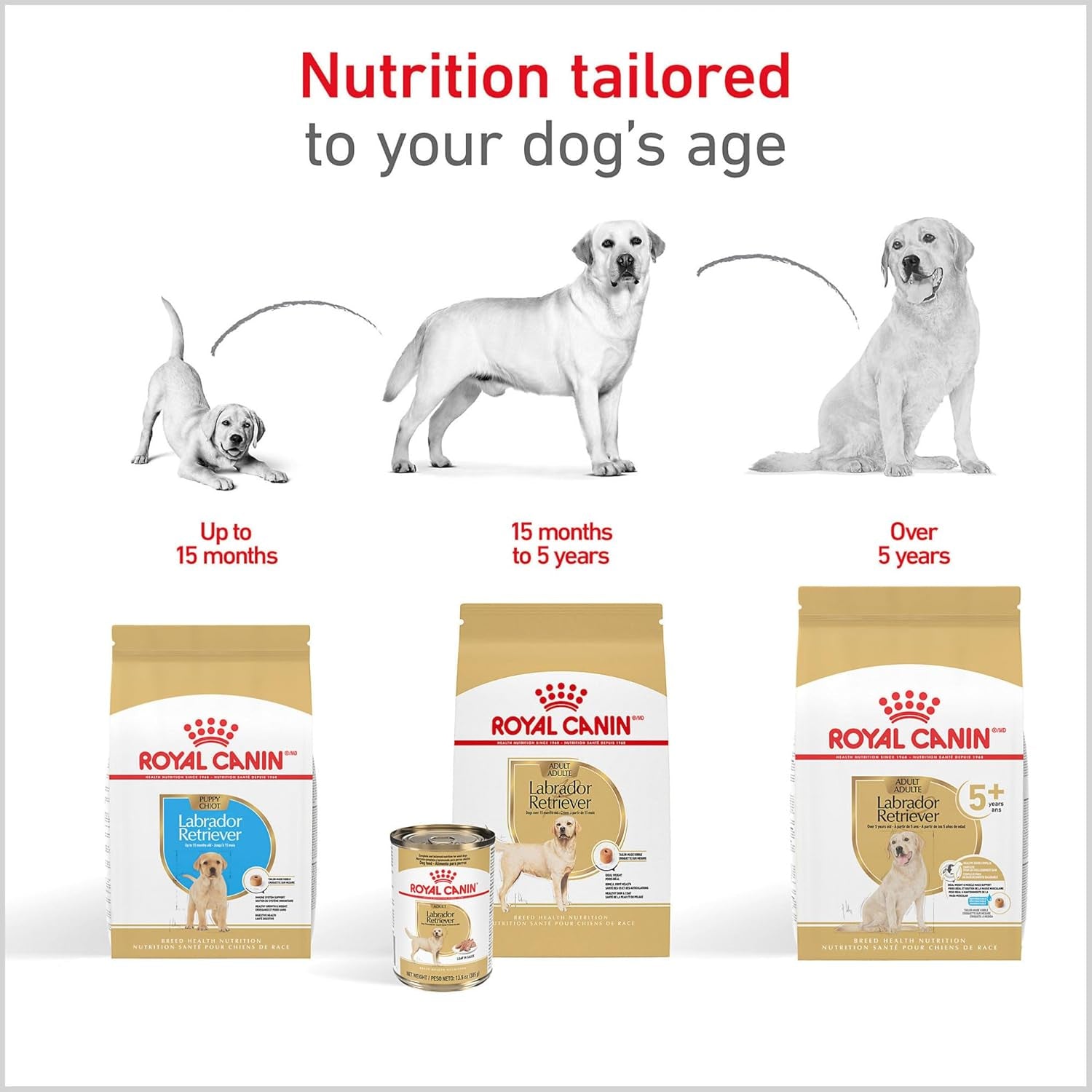 royal-canin-breed-health-nutrition-labrador-retriever-adult-dry-dog-food-30-lb-bag