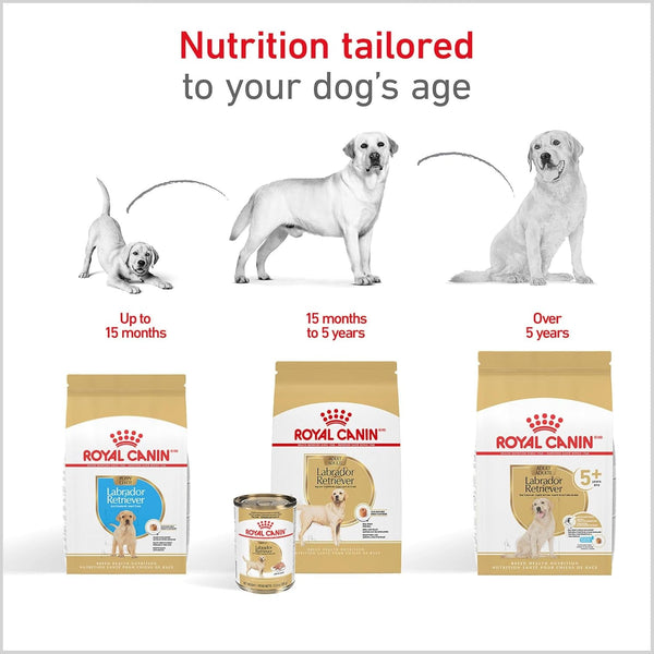 ROYAL CANIN Breed Health Nutrition Labrador Retriever Adult Dry Dog Food, 30 Lb Bag7