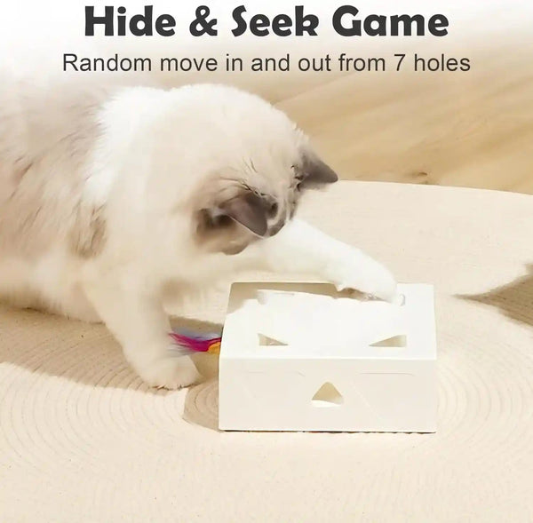 Interactive Cat Toys -Migibox for Indoor Bored Cats, Automatic Pop Out Feathers from 7 Holes Randomly, Motion Activated, USB Rechargeable (Purple Skin)3