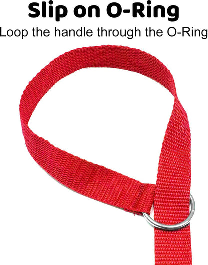 Downtown Pet Supply 6Ft Dog Kennel Slip Lead Leash for Dogs - Veterinarian, Grooming, Daycare & Animal Rescue Supplies - One Size Fits All - 1" Thick - 24 Pack4