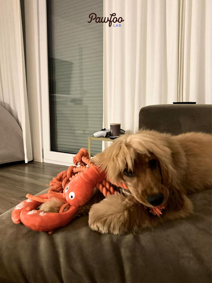 Large Squeaky Dog Toys, Tough Plush Lobster with Rope Tug of War for Puppy, Small, Medium, Large Dogs, Interactive Stuffed Chew Toy to Keep Them Busy9