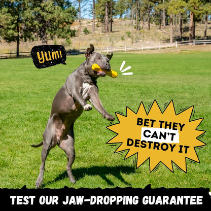 Indestructible Stick Dog Toy - Lifetime Replacement - Durable Chew Toy for Aggressive Chewers - Safe Non-Toxic Natural Rubber - Chew Tug & Fetch - Tough, Heavy Duty - Med/Large Breed, 8”X2”3