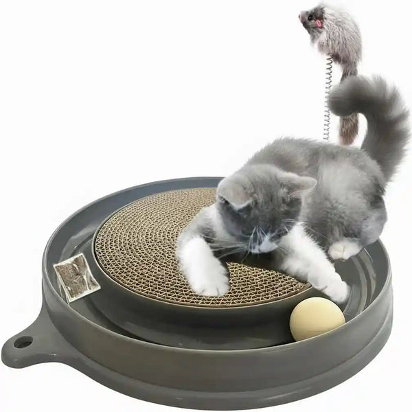AUOON Cat Scratcher Toy with Ball Track for Indoor Cats and Kittens, Gray | 3 in 1 Interactive Cat Toy, Cat Scratch Pad with Cat Ball Toy and Cat Mouse Toy, for Chasing Exercise, Protect Furniture1