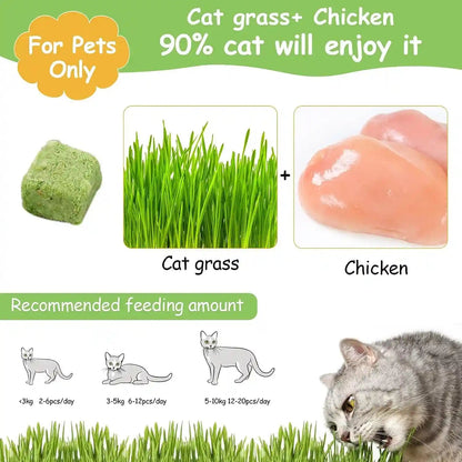 60G Cat Grass Treats for Indoor Cats, Freezed Dried Cat Grass Teething Stick Snacks for Cats, Edible Feline Chew Toys for Hairball Control and Oral Health2