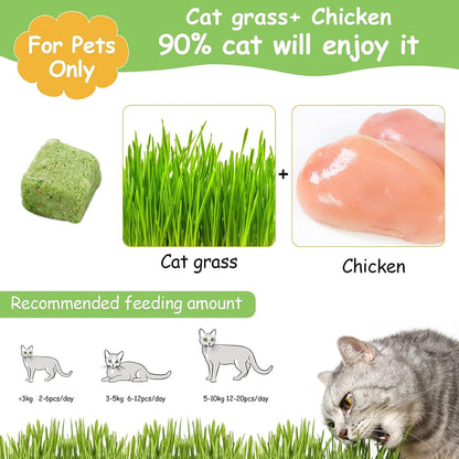 60G Cat Grass Treats for Indoor Cats, Freezed Dried Cat Grass Teething Stick Snacks for Cats, Edible Feline Chew Toys for Hairball Control and Oral Health2