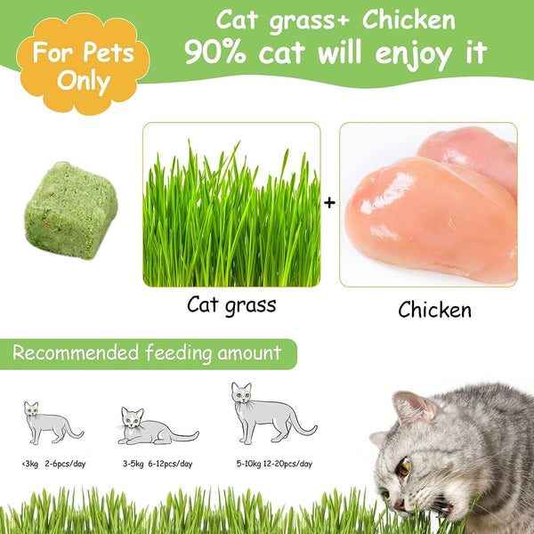 60G Cat Grass Treats for Indoor Cats, Freezed Dried Cat Grass Teething Stick Snacks for Cats, Edible Feline Chew Toys for Hairball Control and Oral Health2