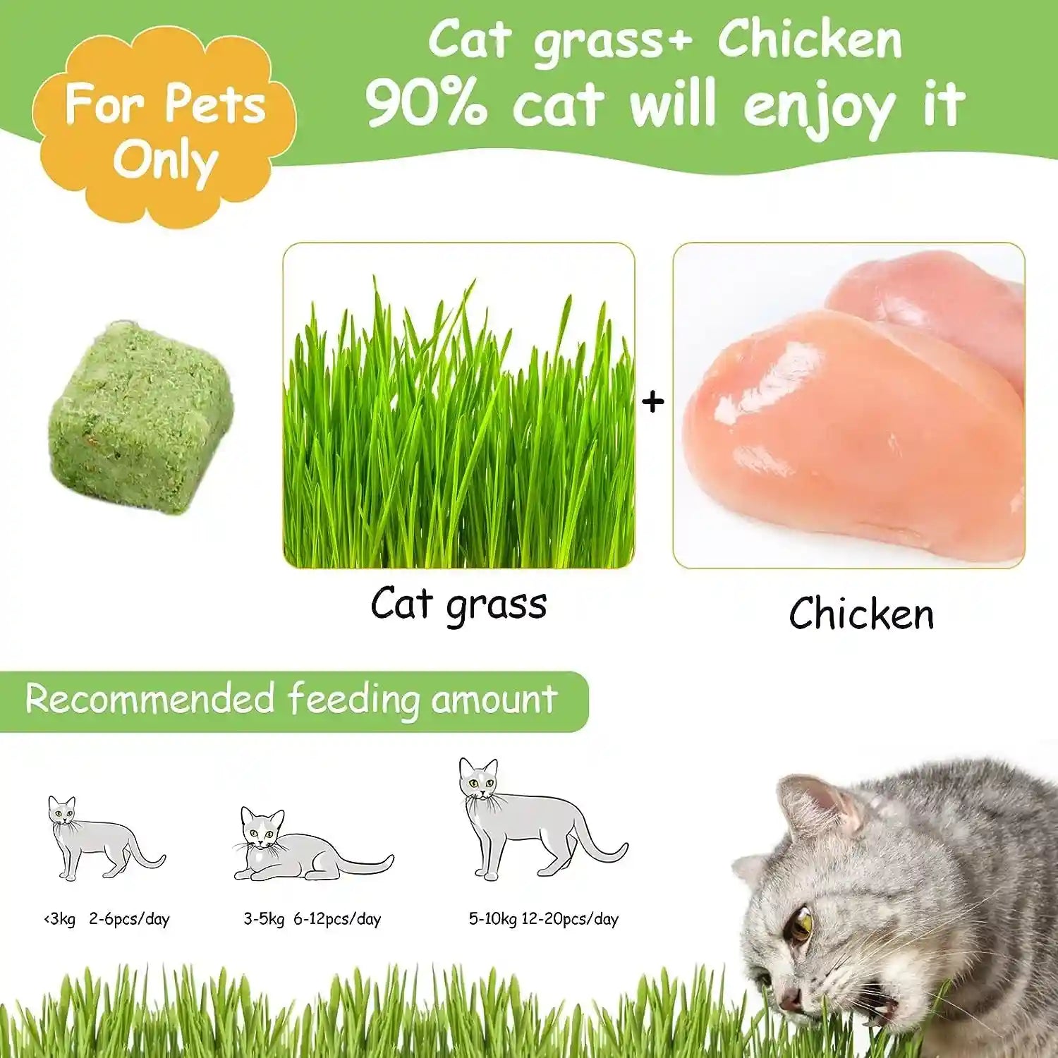 60g-cat-grass-treats-for-indoor-cats-freezed-dried-cat-grass-teething-stick-snacks-for-cats-edible-feline-chew-toys-for-hairball-control-and-oral-health