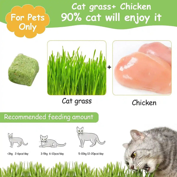 60G Cat Grass Treats for Indoor Cats, Freezed Dried Cat Grass Teething Stick Snacks for Cats, Edible Feline Chew Toys for Hairball Control and Oral Health2