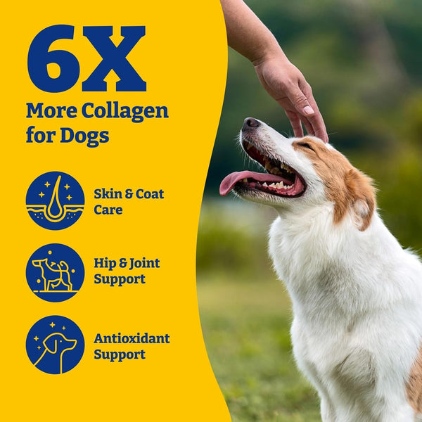 Collagen for Dogs, Soft Chews for Hip, Joint, Skin & Coat Supplement | Collagen Soft Chews for Cartilage,Mobility Support with Types I, II & III Collagen and Superfood-120 Count,Duck & Pear Flavor2