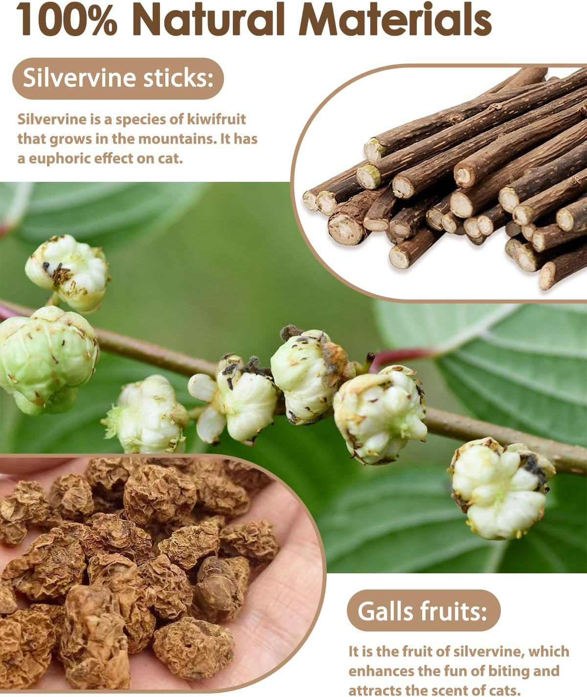 tocirelo-silvervine-sticks-for-cats-natural-cat-chew-toy-teeth-cleaning-6pack-matatabi-sticks-dental-care-kitten-treat-catnip-cat-teething-toys-catmint-silver-vine-sticks-for-bored-indoor-kitty
