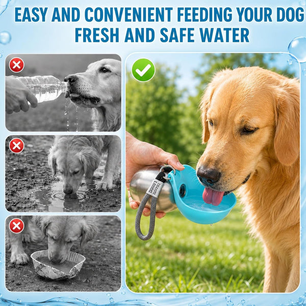 2 in 1 Portable Dog Water Bottle for Dogs,10Oz Stainless Steel Portable Dog Water Bottle with Foldable Silicone Bowl, Leak-Proof 2 in 1 Portable Tumbler for Small Dog & Puppy Walking Hiking Outdoor6