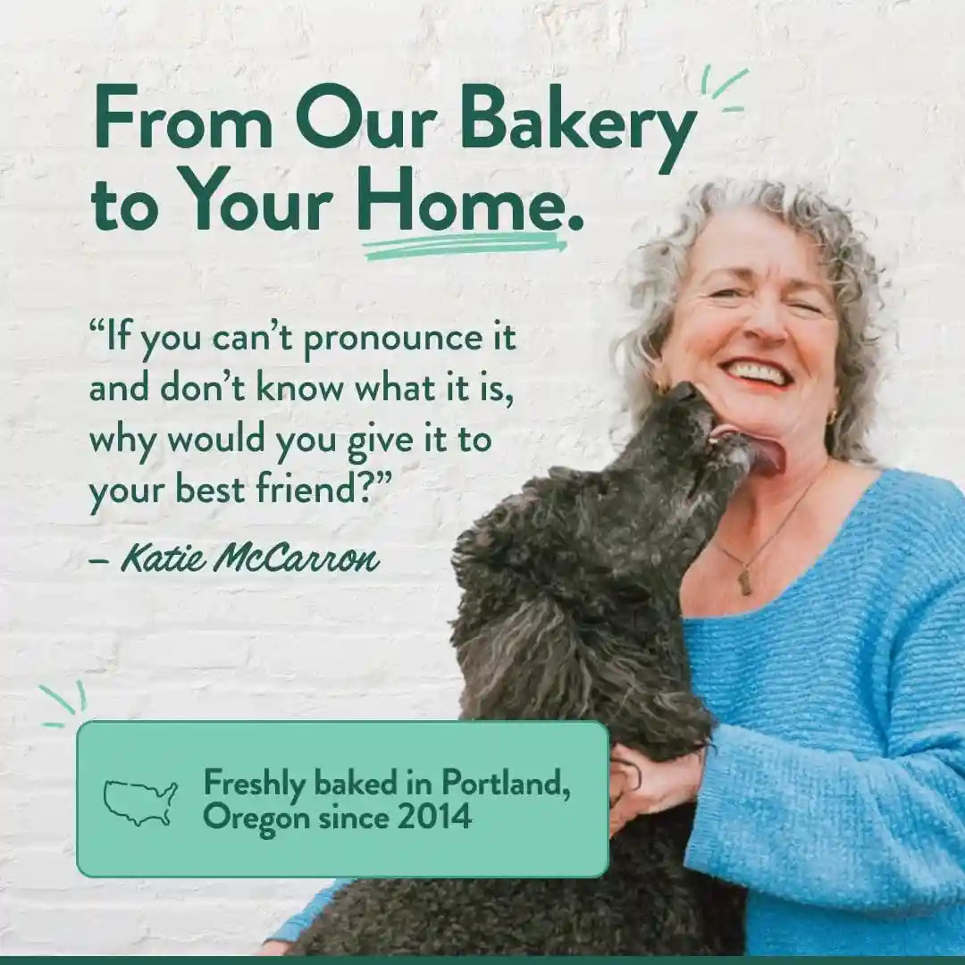 portland-pet-food-pumpkin-dog-treats-healthy-grain-free-biscuits-5-oz-human-grade-limited-ingredient-natural-low-calorie-training-treats-for-small-large-dogs-puppy-to-senior-made-in-usa