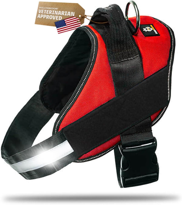 DOGGYKINGDOM No Choke Dog Harness with Handle and Patch Panels, Adjustable Reflective Dog Vest for Small Sized Dog, Blue, S15