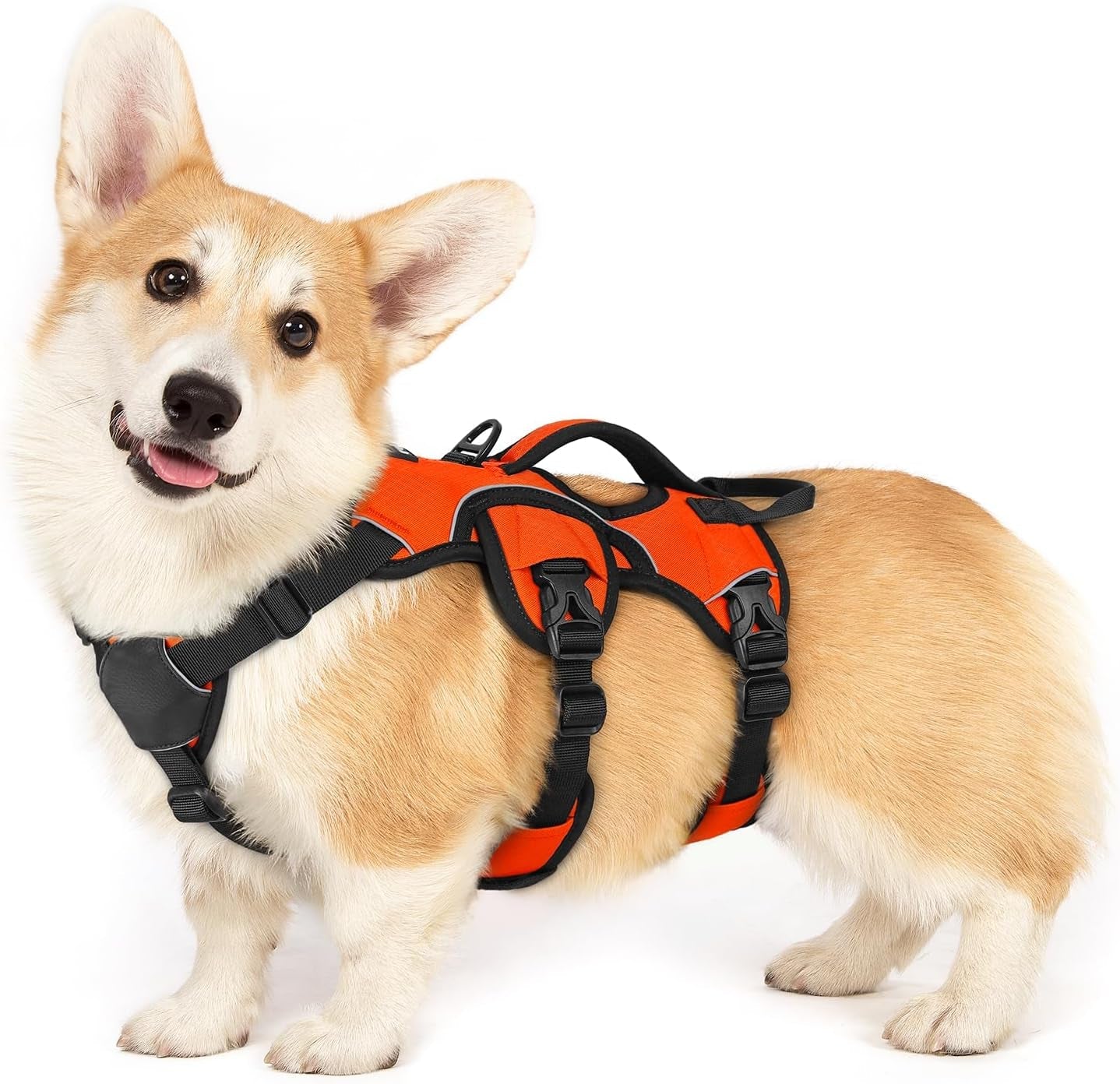 rabbitgoo-escape-proof-dog-harness-for-large-no-pull-with-lift-handle-no-escape-full-soft-padded-reflective-adjustable-vest-leash-clip-for-walking-hiking-training-black-large