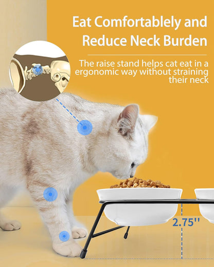 Anti-Vomiting Raised Cat Bowls - 2 × 13 Oz Ceramic Cat Food & Water Bowls with Non-Slip Stainless Steel Stand, Dishwasher Safe for Indoor Cats2
