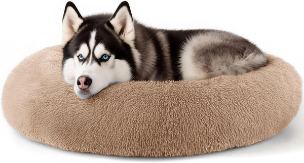 Hoewina Dog & Cat Bed for Indoor Cats, 20In Calming Donut Bed for Puppy and Kitten, Washable round Fluffy Pet Bed for Small Medium Dogs and Cats (Light Grey)33