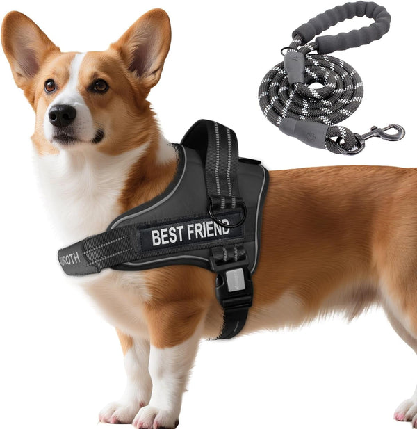 AUROTH Dog Harness and Leash Set, Soft Padded Service Dog Vest with 5.25FT Dog Leash, No Choke, Easy on Pet Vest, Adjustable Reflective No Pull Pet Vest Medium Sized Dog, Easy Walking and Training21