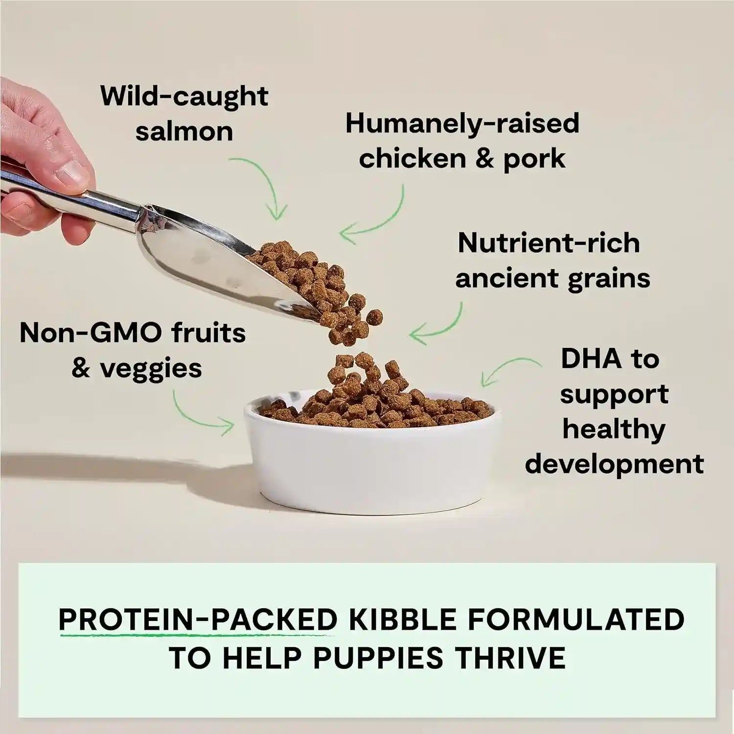open-farm-ancient-grains-dry-puppy-food-chicken-salmon-kibble-4lb-bag-all-puppies-all-breed-sizes-protein-rich-nutrient-dense-100-traceable-ingredients-non-gmo-fruits-veggies