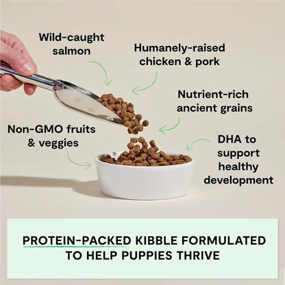 Open Farm Ancient Grains Dry Puppy Food, Chicken & Salmon Kibble, 4Lb Bag | All Puppies, All Breed Sizes, Protein-Rich & Nutrient Dense, 100% Traceable Ingredients, Non-Gmo Fruits & Veggies.3