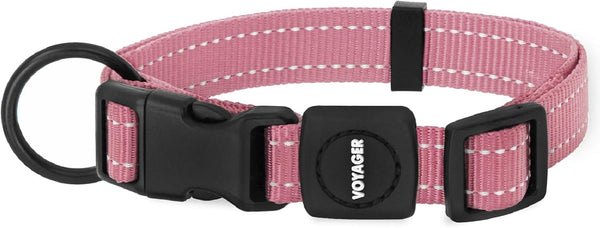 Best Pet Supplies Voyager Reflective Dog Leash or Collar with Neoprene Handle, for Small, Medium, and Large Breed Puppies, Cute and Heavy Duty for Walking, Running and Training - Royal Blue, S6