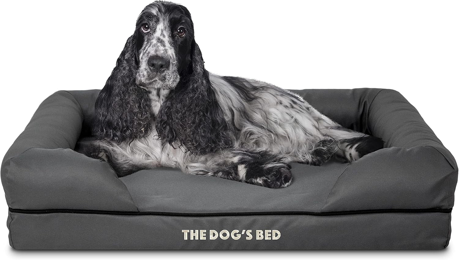 the-dog-s-bed-orthopedic-memory-foam-dog-bed-with-bolsters-for-large-dogs-high-density-support-mattress-low-front-entry-removable-washable-cover-oxford-fabric-blue-with-dark-red-trim-large
