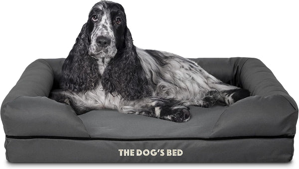 The Dog’S Bed Orthopedic Memory Foam Dog Bed with Bolsters for Large Dogs, High Density Support Mattress, Low Front Entry, Removable Washable Cover, Oxford Fabric, Blue with Dark Red Trim, Large16