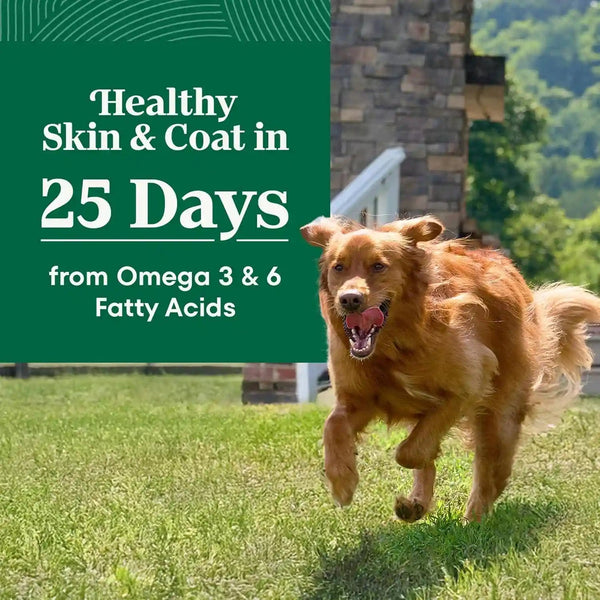 Nutro Natural Choice Large Breed Adult Dry Dog Food, Chicken & Rice, 30 Lb | Real Chicken #1 Ingredient, Non-Gmo, Made in USA, No Corn, Wheat, Soy, Supports Joints, Digestion, Immunity, Skin & Coat3