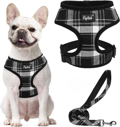 PUPTECK Soft Mesh Dog Harness Small Sized and Leash Set Pet Puppy Cat Comfort Padded Vest No Pull Harnesses, Beige, S58