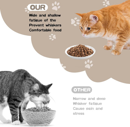 6 Pack Cat Food Bowl, Ceramic Cat Bowls, anti Whisker Fatigue Cats Bowl Set | 5.5 Inches Shallow Wide Kitten Plates for Food and Water (White-A)3