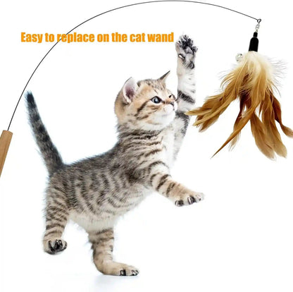 Cat Feather Toys Refill, 16 Pieces Cat Wand Replacement Feathers Toy for Indoor Cats2