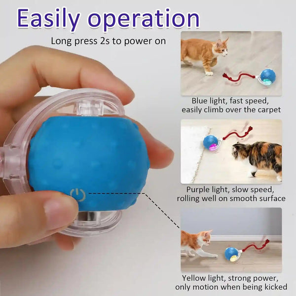 Giociv Interactive Cat Toys Ball for Indoor Cats Fast Rolling on Carpet, Chirping & Motion Activate Cat Toys (Blue)4