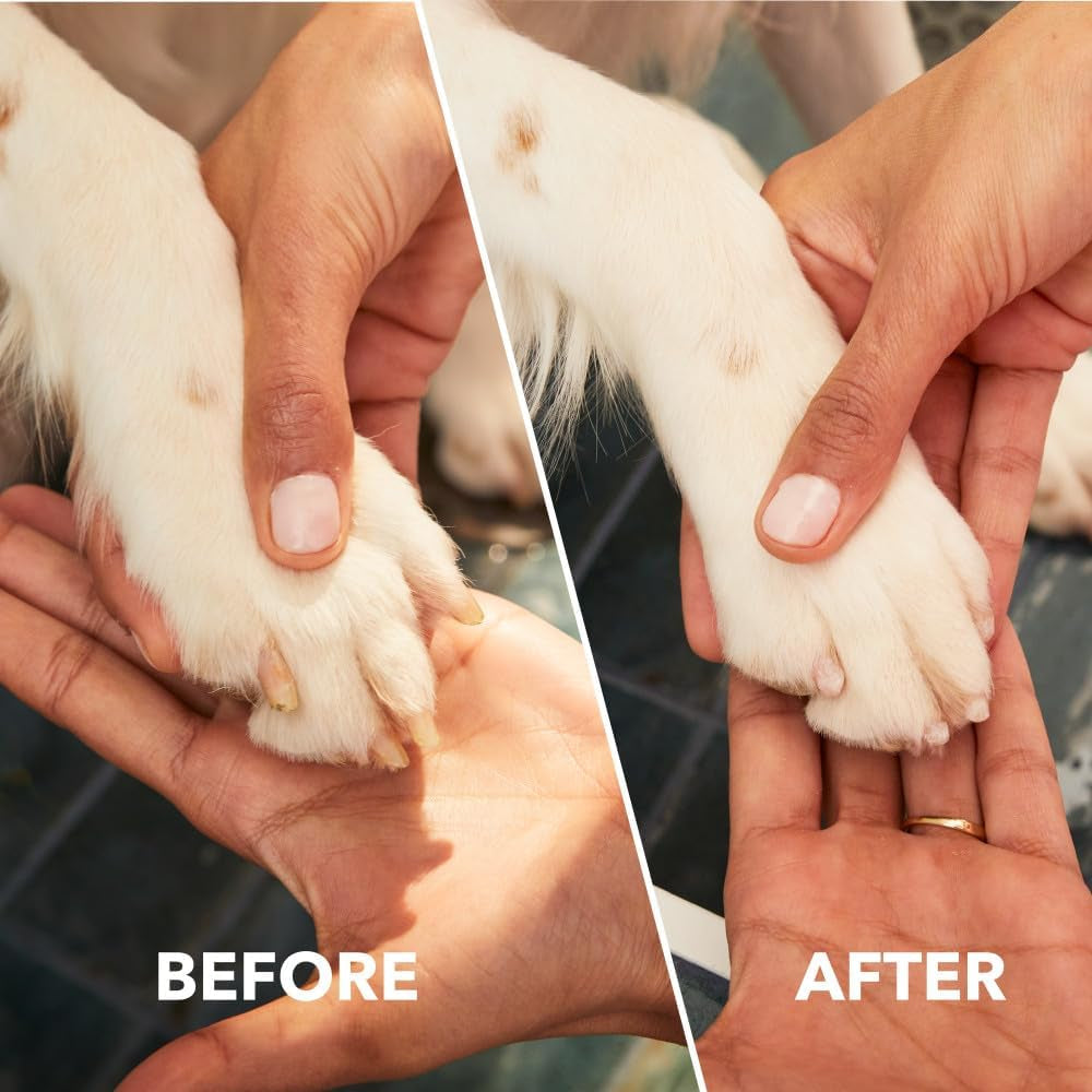 dremel-pawcontrol-7760-pet-dog-nail-grinder-and-trimmer-cordless-rechargeable-pet-grooming-tool-kit-safe-for-dogs-cats-and-small-animals-amazon-exclusive