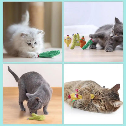 Cactus Catnip Toys, 100% Pure Organic Catnip-Filled Toys without Cotton | 5 Pack Interactive Kitten Toy for Anxiety Relief, Soft Cute Teething &Chew Toys for Indoor Cats7