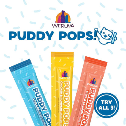 Weruva Puddy Pops, Chicken and Pumpkin Lickable Cat Treats, 0.5Oz Tube, Pack of 54
