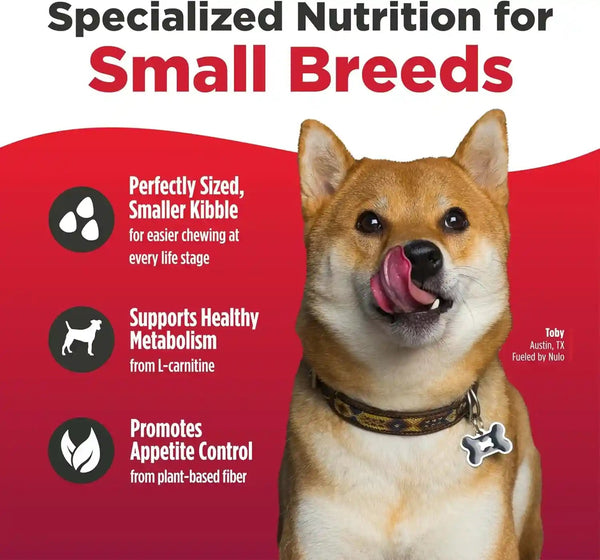 Nulo Freestyle Small Breed Dog Food Dry - Salmon & Lentils, Puppy & Adult Grain Free Dog Food, Natural, High Protein, Smaller Sized Kibble with BC30 Probiotic for Healthy Digestion Support, 6Lb Bag4