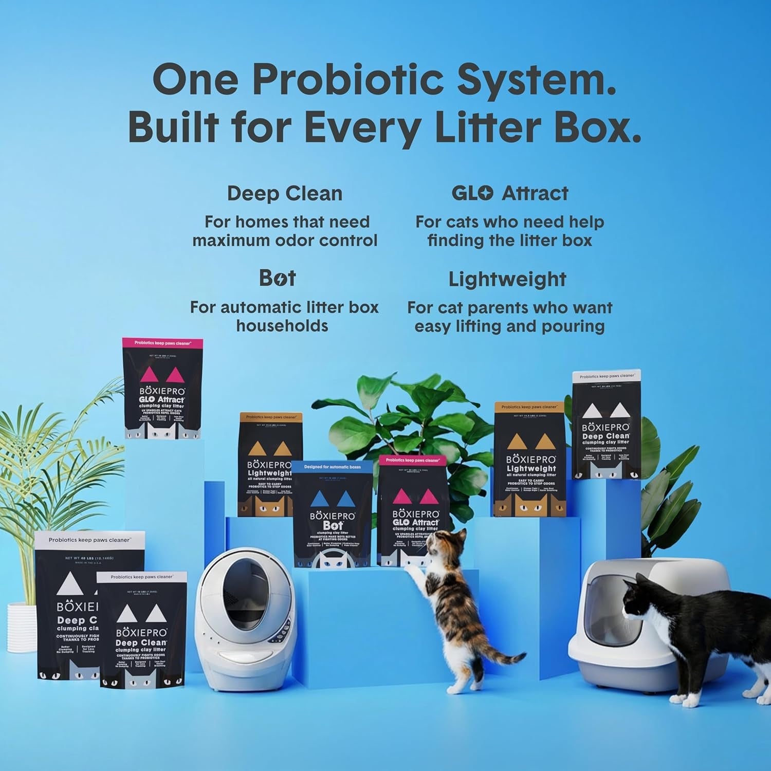 boxie-probiotic-clumping-cat-litter-40-day-odor-control-dust-free-16-lb