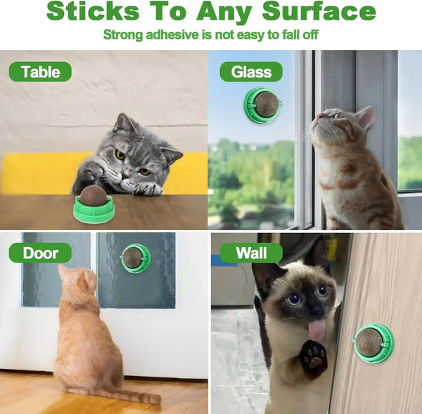 CCINEE 3PCS Catnip Balls for Cats Wall Catnip Toys Edible Cat Toys for Cat Lick Safe Healthy Kitten Chew Toys Teeth Cleaning Dental Cat Toys4