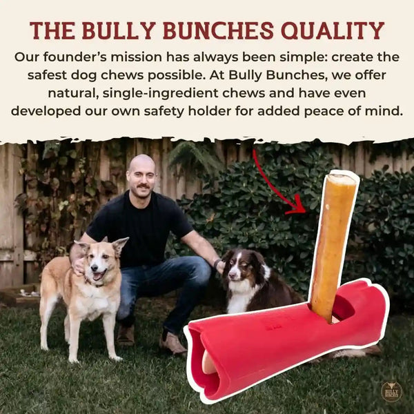 Bully Bunches Premium (6" Standard - 5 Pack) Odor-Free Bully Sticks for Small to Medium Dogs & Puppies - Consistently Sized, Long Lasting Chews for Oral Care - All Natural, 100% Beef Dog Treats8