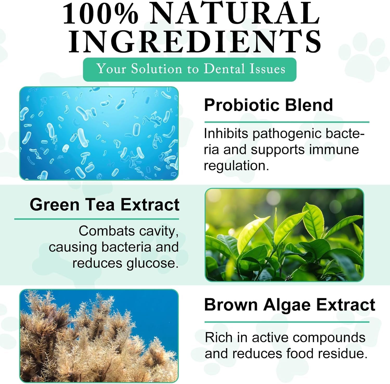 armoya-dog-dental-powder-teeth-cleaning-powder-for-dogs-dog-dental-care-plaque-bad-breath-off-p-owder-d-og-d-ental-care-supplies-for-small-medium-large-do-gs