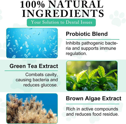 ARMOYA Dog Dental Powder - Teeth Cleaning Powder for Dogs - Dog Dental Care - Plaque & Bad Breath off P-Owder D-Og - D-Ental Care Supplies for Small - Medium - Large Do-Gs4