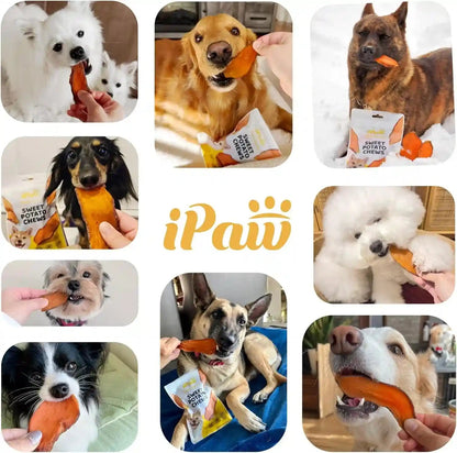 Ipaw Sweet Potato Dog Treats, Sqf-Certified Production Process Dog Chew | Human Grade, Single Ingredient, Rawhide Alternative Dog Treats for Vegetarian, Hypoallergenic, Easy to Digest6