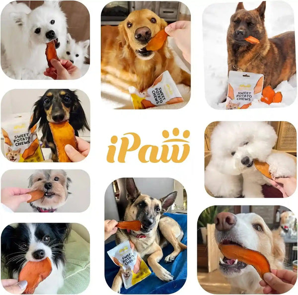 Ipaw Sweet Potato Dog Treats, Sqf-Certified Production Process Dog Chew | Human Grade, Single Ingredient, Rawhide Alternative Dog Treats for Vegetarian, Hypoallergenic, Easy to Digest6