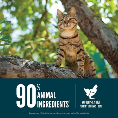 ORIJEN Guardian 8 Grain Free WHOLEPREY Dry Cat Food 4Lb. Bag | 90% Animal Ingredients, Freeze Dried, Fresh or Raw Ingredients, Grain Free, Omega-3 Fatty Acids, Skin & Coat, Immune Support5