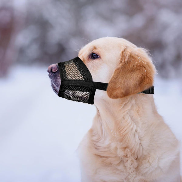 Dog Muzzle for Large Dogs - Air Mesh Muzzle for Large Sized Dog | Adjustable No Bark Dogs Muzzles for Scavenging Licking & Chewing | Prevent Biting | L 7.9'' - 9.4''6