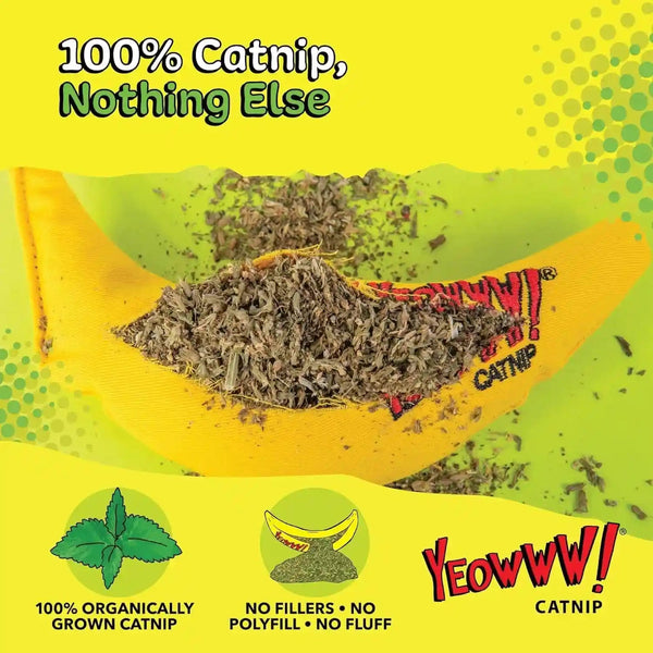 Yeowww! 100% Organic Catnip Toy, Yellow Banana 3 Pack6