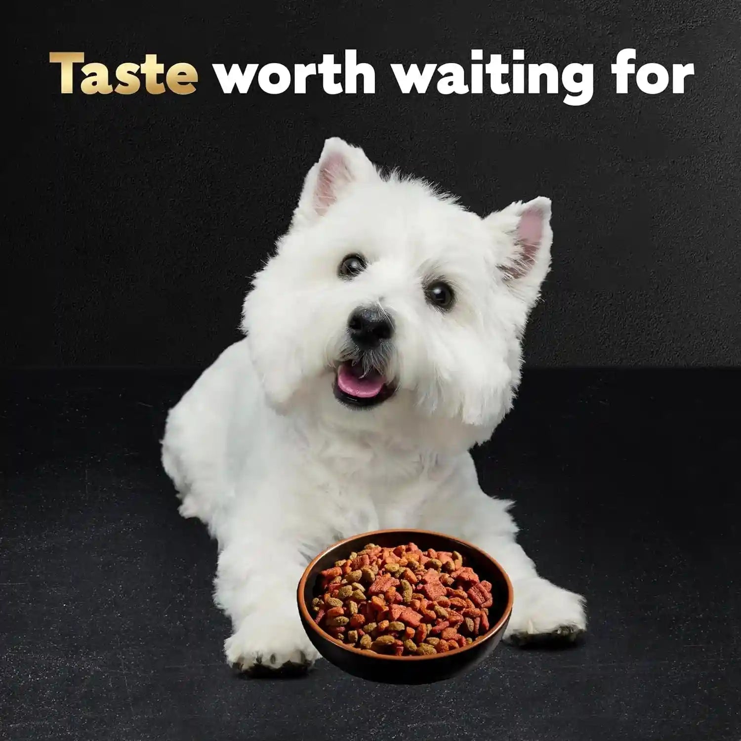 cesar-small-breed-dry-dog-food-filet-mignon-spring-vegetables-12-lb-made-in-usa-real-beef-1-ingredient-26-essential-nutrients-supports-small-breed-health-no-artificial-flavors