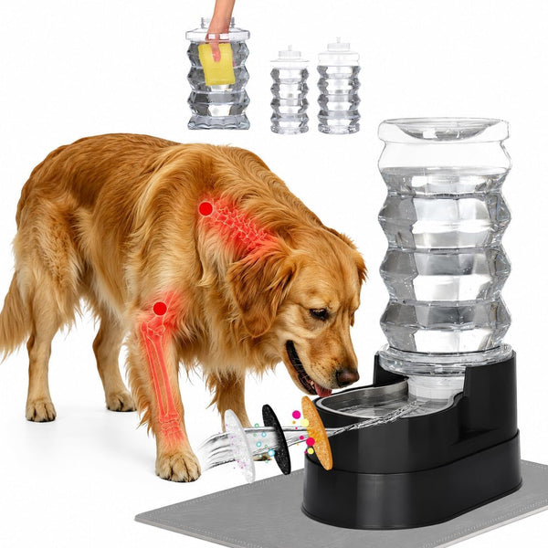 RIZZARI 8L Gravity Dog Water Dispenser: Stainless Steel Bowl Anti-Splash | Wide Mouth Easy Cleaning/ Dishwasher Safe/No Electricity Needed/ Filtered Fresh Water / Multi-Pet Homes14